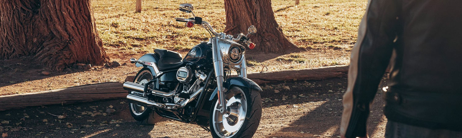 2024 Harley-Davidson® Motorcycle for sale in Henderson Harley-Davidson®, Henderson, Nevada